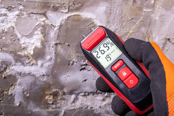 Professional Mold Removal in Jackson, MN