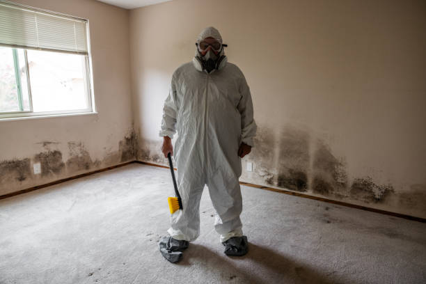 Best Commercial Mold Removal  in Jackson, MN